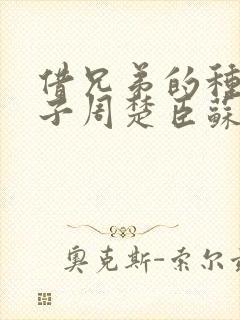 借兄弟的种生孩子周楚臣苏糖