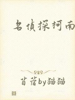 名侦探柯南h封面