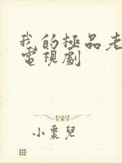 我的极品老妈 电视剧封面