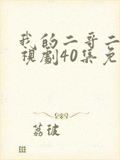 我的二哥二嫂电视剧40集免费观看