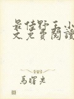 最佳野王小说全文免费阅读封面