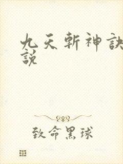 九天斩神诀l小说