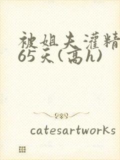 被姐夫灌精的365天(高h)封面