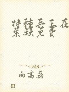 特种兵王在山村叶秋免费