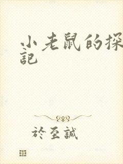 小老鼠的探险日记