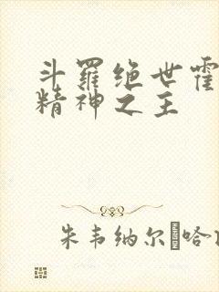 斗罗绝世霍雨浩精神之主