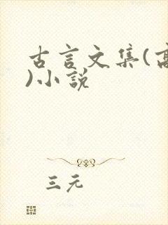 古言文集(高h)小说
