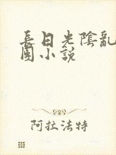 长日光阴乱作一团小说