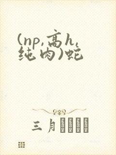 (np,高h,纯肉)蛇