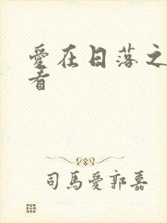 爱在日落之前收看