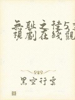 无耻之徒5季电视剧在线观看免费高清