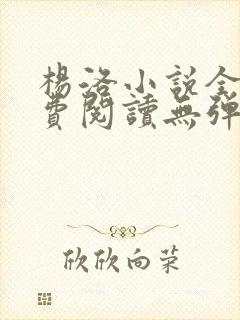 杨洛小说全文免费阅读无弹窗最新章节