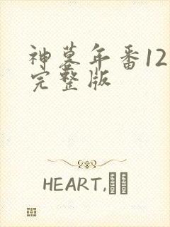 神墓年番12集完整版封面