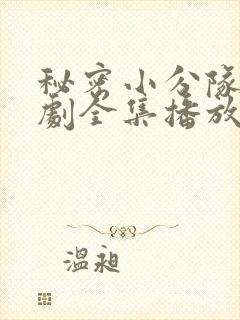 秘密小分队电视剧全集播放