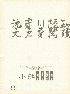 沈霁川陆知意全文免费阅读封面