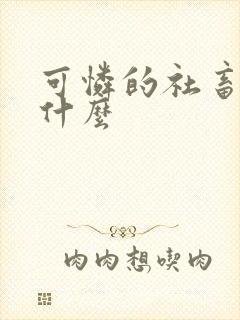 可怜的社畜讲的什么