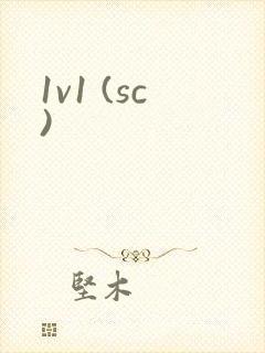 1v1 (sc)封面