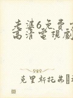 老婆6免费完整高清电视剧看