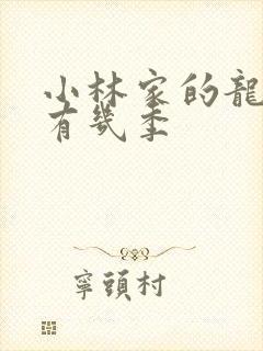 小林家的龙女仆有几季