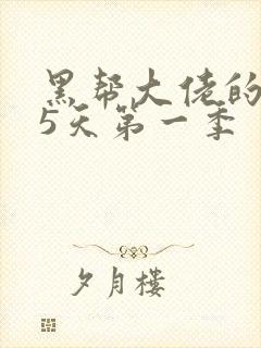 黑帮大佬的365天第一季