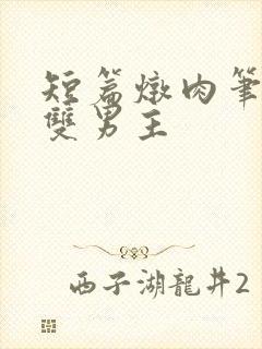 短篇炖肉笔趣阁双男主