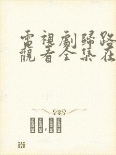 电视剧归路免费观看全集在线播放