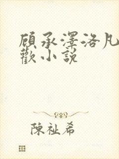 顾承泽洛凡欲成欢小说