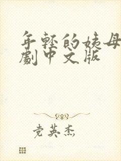 年轻的姨母3韩剧中文版封面