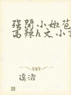 强开小嫩苞h文高辣h文小说