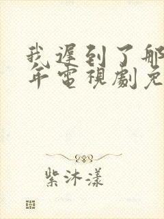 我迟到了那么多年电视剧免费观看