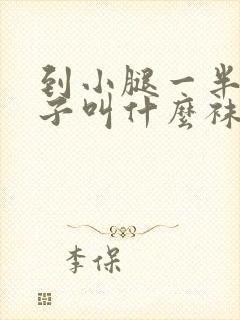 到小腿一半的袜子叫什么袜