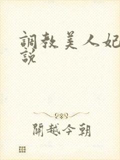 调教美人妃嫔小说封面