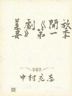 美剧《开放式夫妻》第一季完整版中