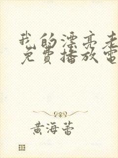 我的漂亮老板娘免费播放电视剧