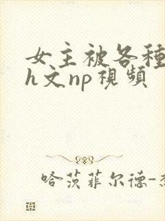 女主被各种调教h文np视频