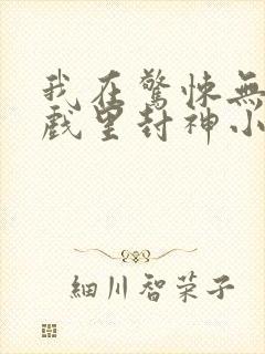 我在惊悚无限游戏里封神小说封面