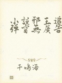 小说邪王追妻无弹窗无广告