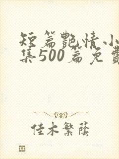 短篇艳情小说合集500篇免费封面