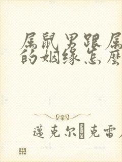 属鼠男跟属鼠女的姻缘怎么样