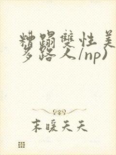 糟蹋双性美人(多路人/np)封面