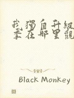 我独自升级第二季在哪里观看