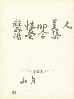 双性np美人浪荡受合集封面