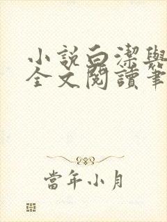 小说白洁与高义全文阅读笔趣阁白洁封面