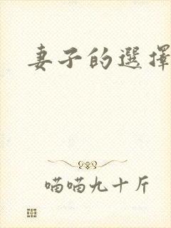 妻子的选择小说