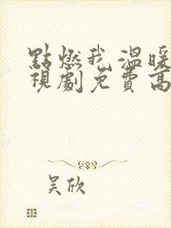 点燃我温暖你电视剧免费高清观看