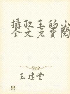 摄政王的小宠妃全文免费阅读