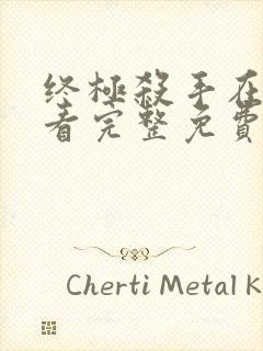 终极杀手在线观看完整免费高清电影