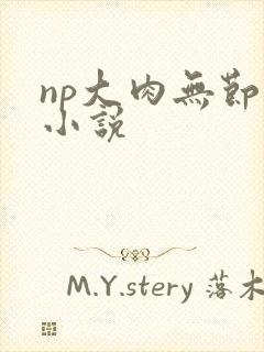 np大肉无节操小说