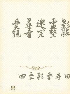 爱寻迷电影在线观看完整版