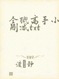 全职高手小说无删减txt